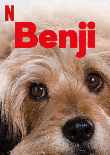 Benji store netflix 2018